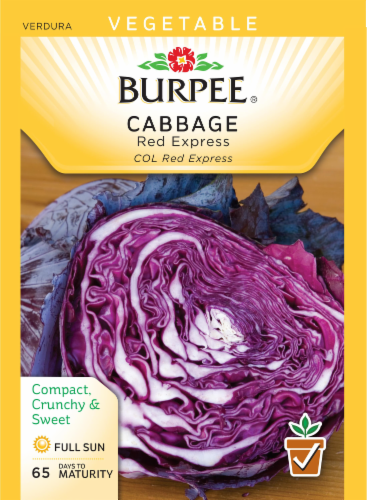 Burpee Red Express Cabbage Seeds Perspective: front