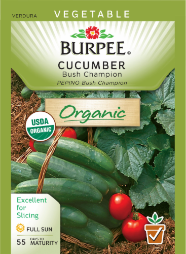 Burpee® Bush Champion Organic Cucumber Seeds Perspective: front