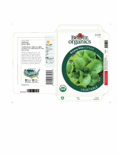 Burpee® Bibb Organic Head Lettuce Seeds - Green Perspective: front