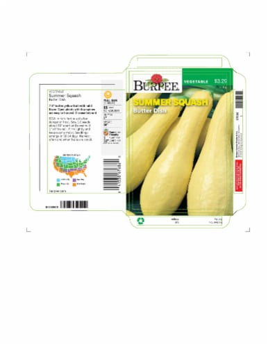 Burpee® Butter Dish Summer Squash Seeds Perspective: front