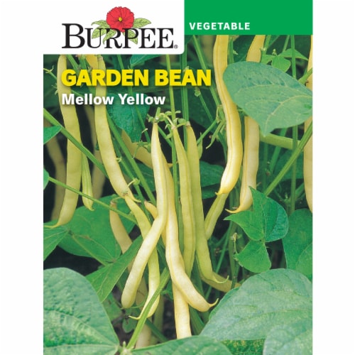 Burpee Mellow Yellow Garden Bean Seeds Perspective: front