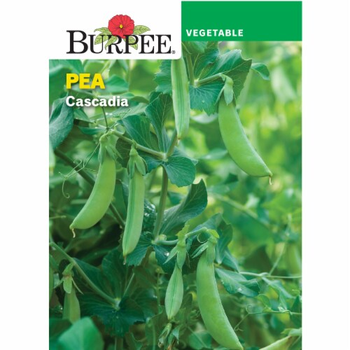 Burpee® Cascadia Pea Vegetable Seed Packet Perspective: front