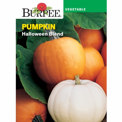 Burpee® Halloween Blend Pumpkin Seeds Perspective: front