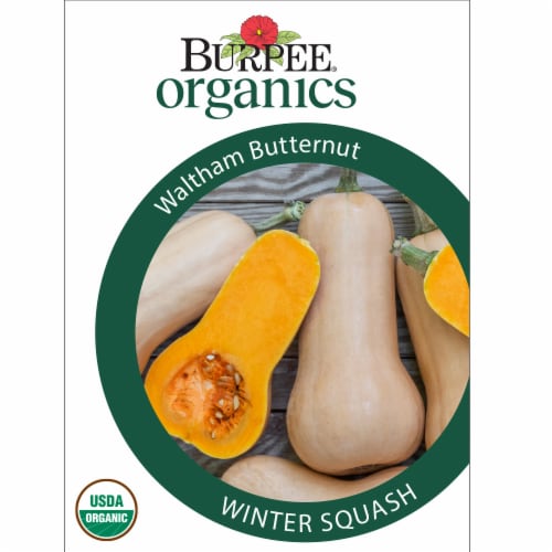 Burpee® Waltham Butternut Organic Yellow Squash Seeds Perspective: front