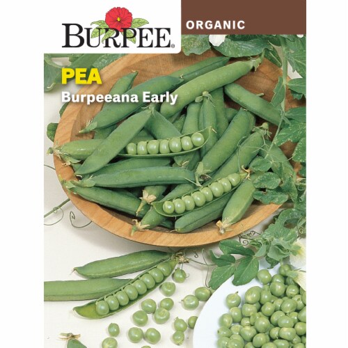 Burpee Organic Burpeeana Early Pea Seeds Perspective: front
