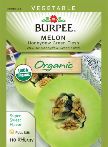 Burpee® Green Flesh Organic Honeydew Melon Seeds Perspective: front