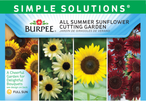 Burpee Simple Solutions All Summer Sunflower Cutting Garden Seeds Perspective: front