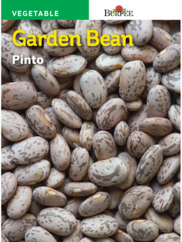 Burpee® Pinto Garden Bean Seeds Perspective: front