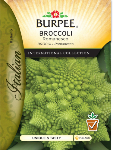 Burpee Romanesco Broccoli Seeds Perspective: front