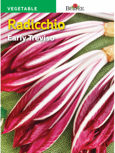 Burpee Early Treviso Radicchio Seeds - Red Perspective: front