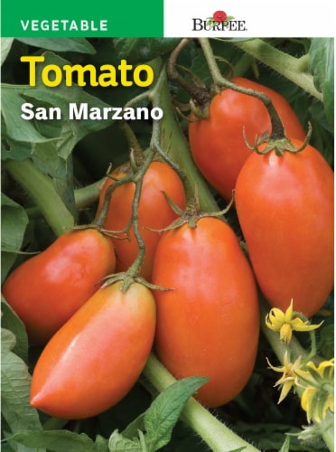 Burpee® San Marzano Tomato Seeds Perspective: front