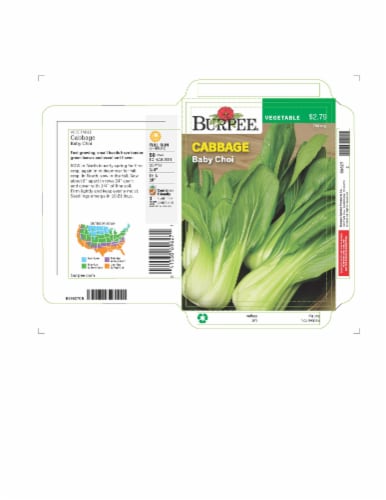 Burpee® Cabbage Baby Choi Seeds - Green Perspective: front