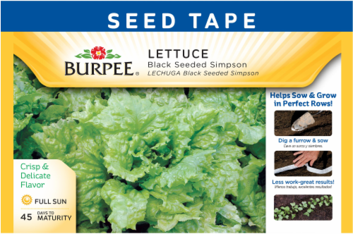 Burpee® Black Seeded Simpson Lettuce Seed Tape Perspective: front