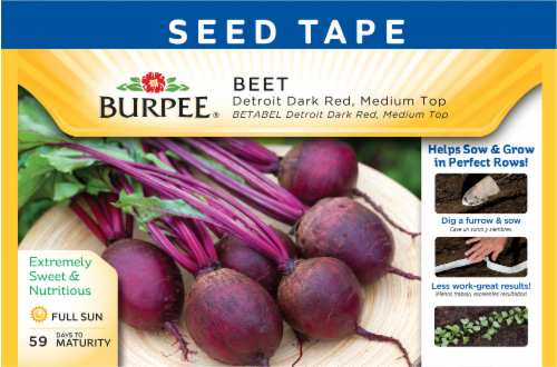 Burpee Detroit Dark Red Medium Top Beet Seeds Perspective: front