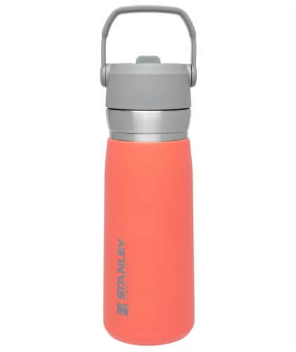Stanley® Go Flip Straw Water Bottle - Guava Perspective: front