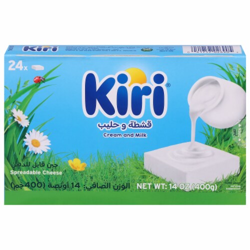 Kiri® Family Size Spreadable Cheese Wedge Perspective: front