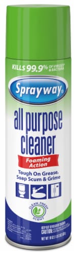 Sprayway® All Purpose Cleaner Perspective: front