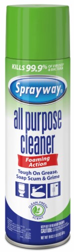 Sprayway® All Purpose Cleaner Perspective: front