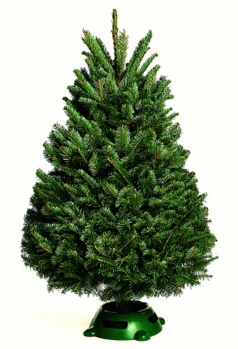 Kirk's Christmas Tree & Stand Perspective: front