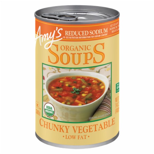 Amy's® Organic Reduced Sodium Low Fat Chunky Vegetable Soup Perspective: front