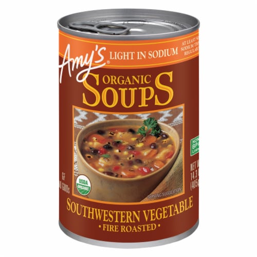 Amy's® Light in Sodium Fire Roasted Southwestern Vegetable Organic Soup Perspective: front