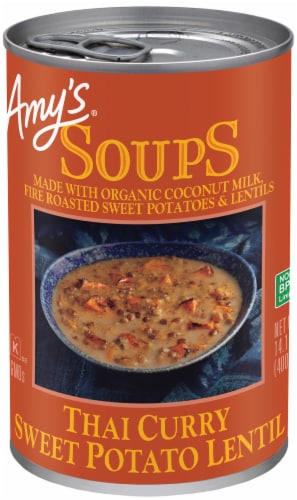 Amy's Thai Curry Sweet Potato Lentil Soup Perspective: front
