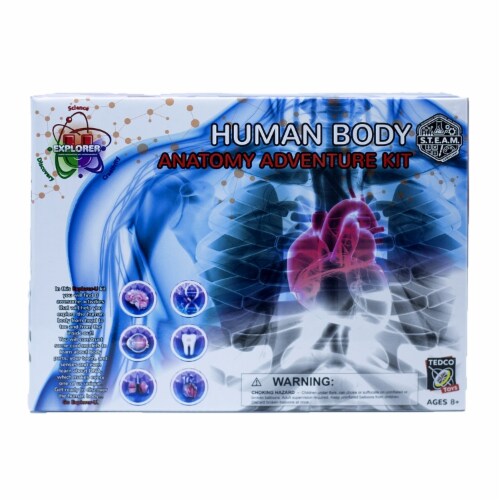 Explorer-U Human Body Perspective: front