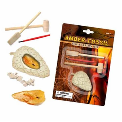 Tedco Toys 90003 Mber Fossil Dig Excavation Kit Perspective: front