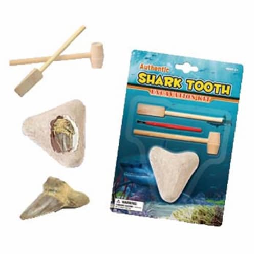 Tedco Toys 90007 Shark Teeth Dig Excavation Kit Perspective: front