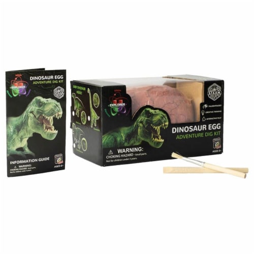 dino egg dig kit