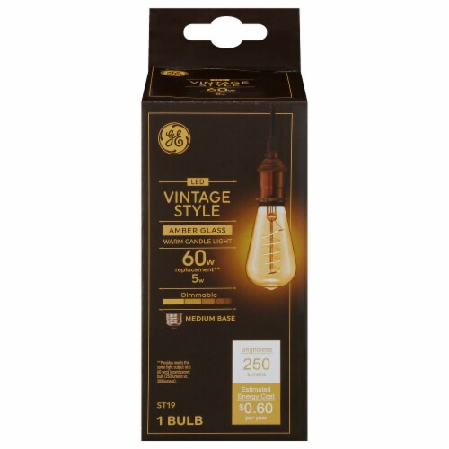 GE Medium Base Vintage Style LED Light Bulb Perspective: front
