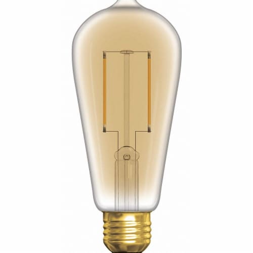 GE LED Light Bulb Perspective: front