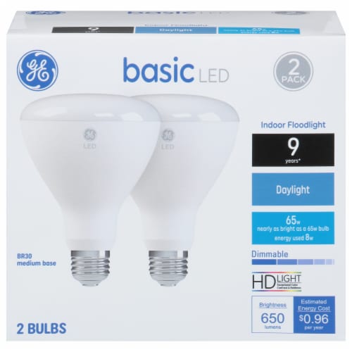 GE LED Indoor Floodlight Light Bulb Perspective: front