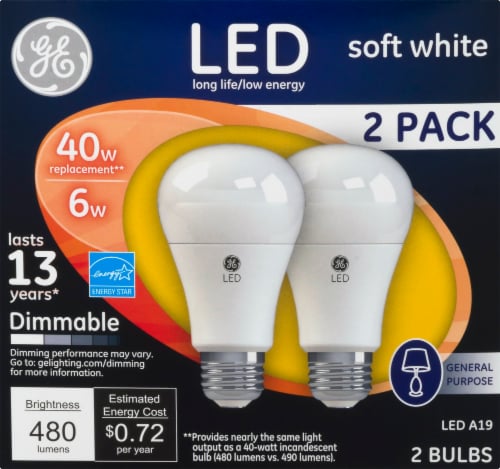GE 6-Watt (40-Watt) A19 LED Light Bulbs Perspective: front
