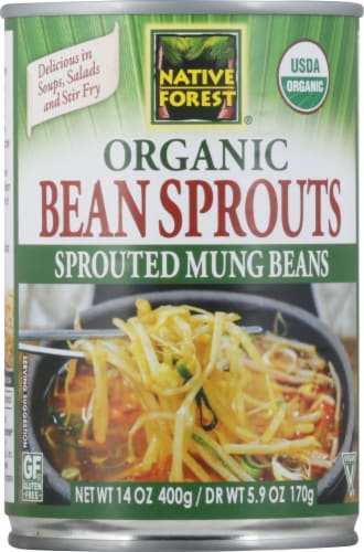 Native Forest® Organic Mung Bean Sprouts