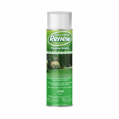 Renew Grass & Shrub Spray Paint - Pristine Green Perspective: front