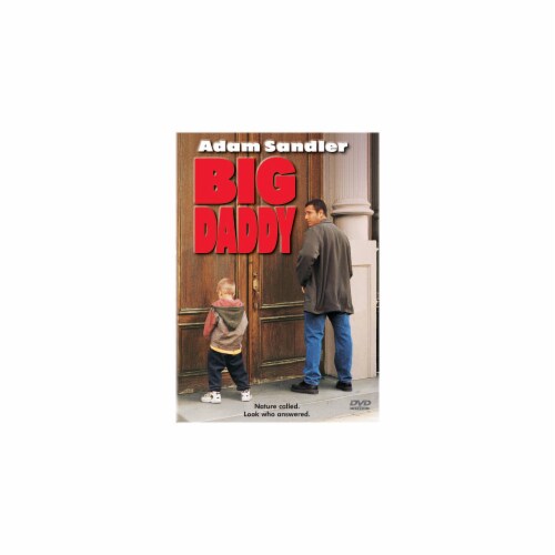 Big Daddy (DVD) Perspective: front