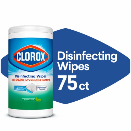 Clorox Fresh Scent Disinfecting Wipes