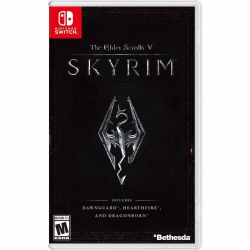 Elder Scrolls 5: Skyrim (Nintendo Switch) Perspective: front