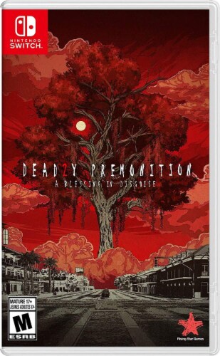 Deadly Premonition 2: A Blessing In Disguise (Nintendo Switch) Perspective: front