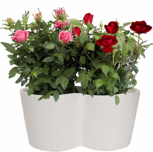 Por La Mar Nursery Ceramic Mini Roses Perspective: front