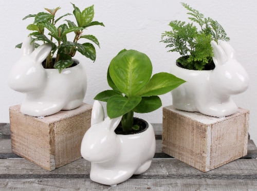 Por La Mar Nursery Bunny Deco Foliage Ceramic Plant Perspective: front