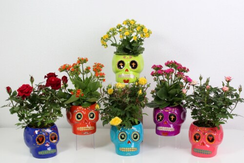 Dia De Los Muertos Sugar A Skull Blooming 4 in Perspective: front