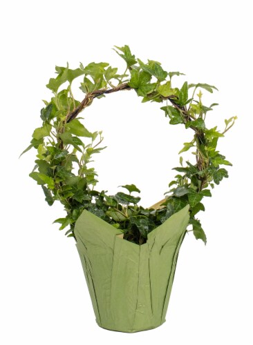 Ivy Wreath Perspective: front