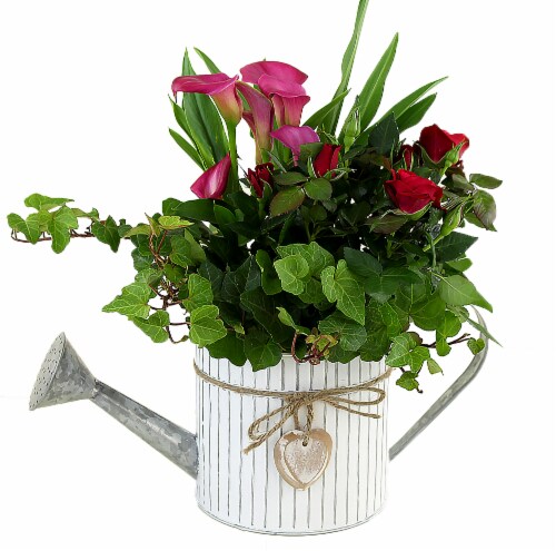 Potted Spring Party Floral Arrangement Approximate Delivery Is 2 7 Days 1 Ct Kroger