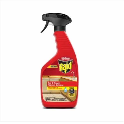 Raid Kitchen Defense Spray Ant and Roach Killer 22 oz