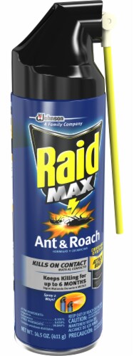 Raid® Max Roach Killer Insecticide Spray Perspective: front