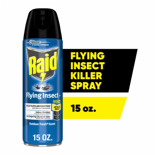 Raid Fly Ribbon Bug & Insect Catcher (Pack of 2)