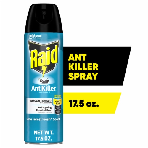 Raid® Pine Forest Fresh Scent Ant Killer Insecticide Perspective: front