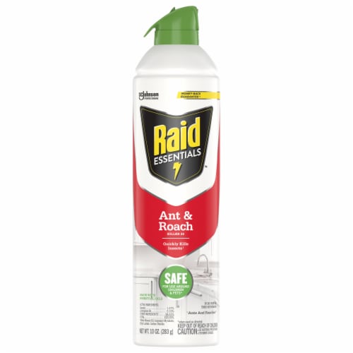 Raid® Essentials Ant and Roach Killer Aerosol Perspective: front